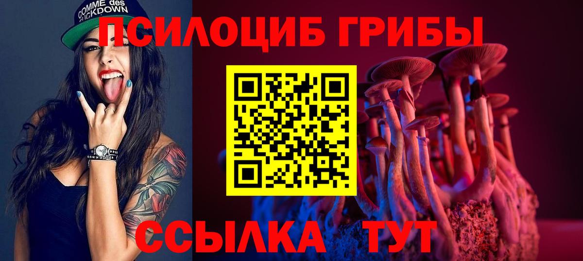 Псилоцибиновые грибы Psilocybine cubensis  Галлюциногенные грибы Magic Shrooms  Котовск  Вход с VPN 