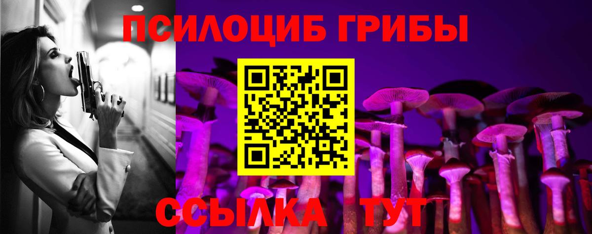 Псилоцибиновые грибы GOLDEN TEACHER Котовск